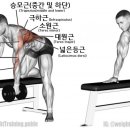 스포플렉스(가산점) 이미지