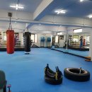 강북권투 이미지