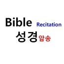 건축사사무소성경