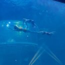 연은메디칼 이미지