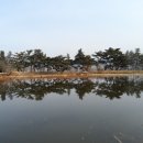 읍천1리 이미지