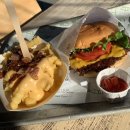 Blossom for you 이미지