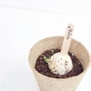 창릉초등학교 이미지