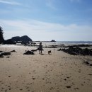 곰섬해수욕장 이미지