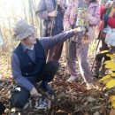 힐리언스 이미지