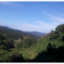 사내골농장 이미지