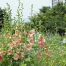 배곧생명공원 이미지