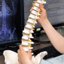 중앙정형외과의원 이미지