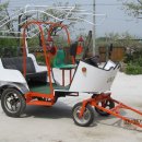 미니마차 이미지