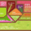 (주)에코플랜츠 이미지