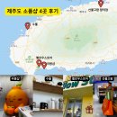 도로변(고척로 195) | 제주도 대형 소품샵 4곳 완전 정복! 진짜 추천 vs 비추천 기념품까지