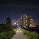 광교호수공원 | 수원 광교호수공원 야간 산책 코스와 볼거리 후기