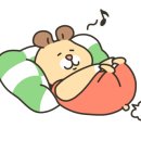 환상의바다리조트D동 이미지