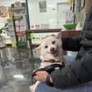 JM메디칼 이미지