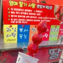 정관장약령시점