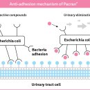 라온365온누리약국 이미지