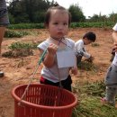 왕자공주어린이집 이미지