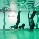 시청광장지하도상가 네이버블로그