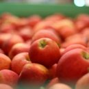 강진읍 시장 | 강진읍 맛집 추천 best 10