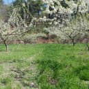 이정섭농장 이미지