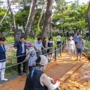 솔밭근린공원 이미지