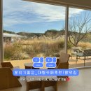 숲속의바다 숲속동 | [양양카페추천]뷰 맛집 &#34;숲속의빈터&#34; 분위기 좋은 애견 동반 대형카페, 주차정보 솔직후기