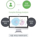 디케어