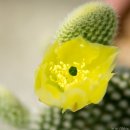 청수정가든 이미지