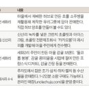 놀멍올레