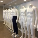 스타일업마네킹
