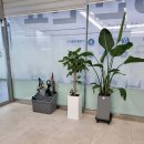 군자성모정형외과의원 이미지