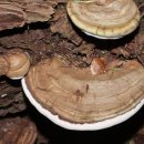 우리 발전소 이미지