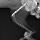 조규만외과동물병원 이미지