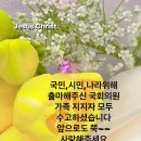 국민,시민,나라위해 출마해주신 국회의원 후보 가족 지지자 모두 수고하셨습니다 앞으로도 쭉~~ 사랑해주세요 대한민국 Korea #국민 이미지