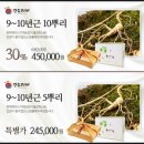 진삼 이미지
