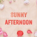 써니 애프터눈 이미지