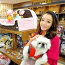 동서울동물병원 이미지