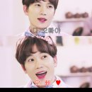 거인정 Daum카페
