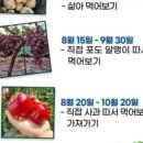 백산농원
