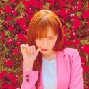 개이쁘다 이미지