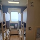 선플라워 이미지