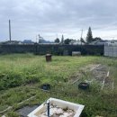 애지농장 이미지