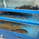 이윤경헤어뱅크 | 부천 춘의동 맛집 천어횟집 메뉴와 가격 리뷰