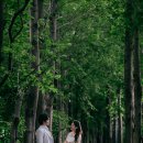 소흐스튜디오