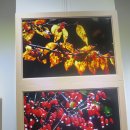 자원농장 이미지