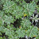 후 무인텔 이미지