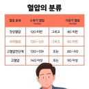 고혈압 Daum카페