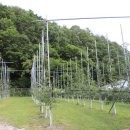 도일농장 이미지