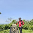 통영 한산도~망산 섬산행 (1) 이미지