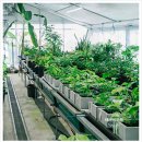 비케이팜 이미지